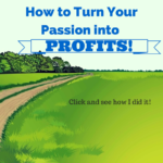 How to Turn Passion into Profits?